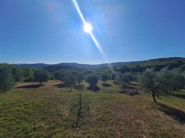 Valdambra - Annesso in Muratura con Terreno e Uliveto - Rif. C10 - Foto 15