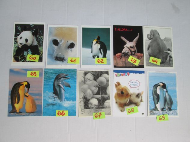 ANIMALI MISTI CARTOLINA 10 X15 collezione vintage SCEGLI la preferita - Foto 4
