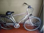 BICICLETTA ADULTI