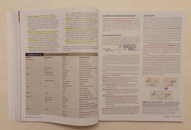 Biologia cellulare di Mason,Losos,Singer, Raven, Johnson Ed.Piccin, 2013 - Foto 3