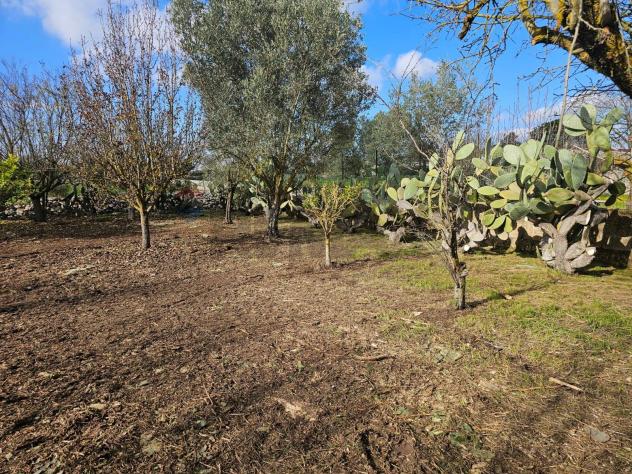 Terreno Edificabile in vendita a Ragusa, Gesuiti Pianetti - Foto 10