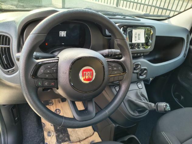 FIAT Panda 3ª serie Panda 1.0 FireFly S&S Hybrid Icon - Foto 7