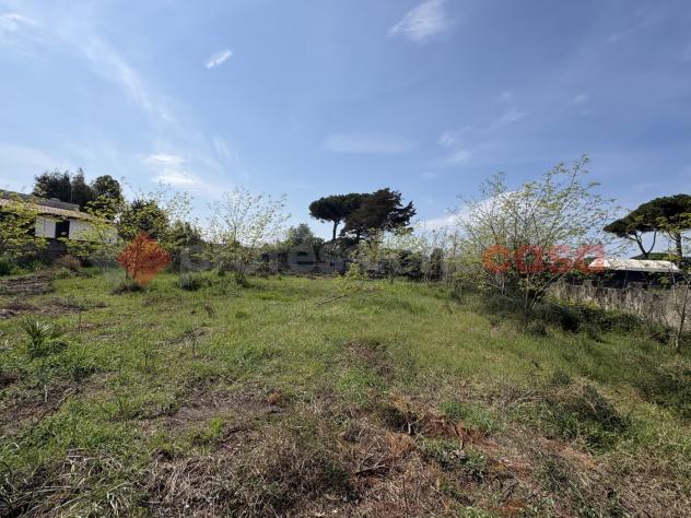 Terreno Agricolo - Terracina . Rif.: Cod. rif 3308552VRG - Foto 6