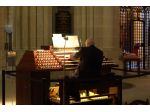 Organista/pianista per matrimoni