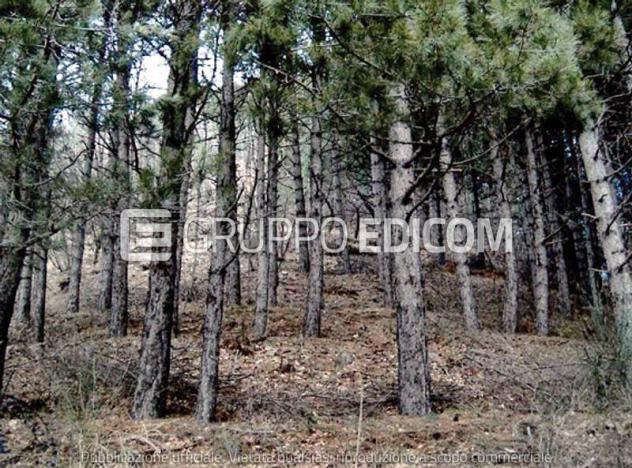 Terreno di 463186 mq in vendita a Acri - Rif. 4554909