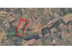Terreno Agricolo a Guidonia Montecelio (RM)