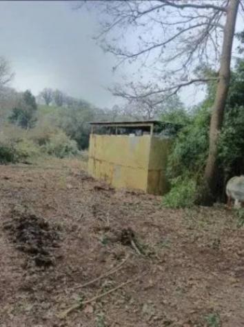 Immobile in asta di 136 m² con più di 5 locali in vendita a Caianello - Foto 10