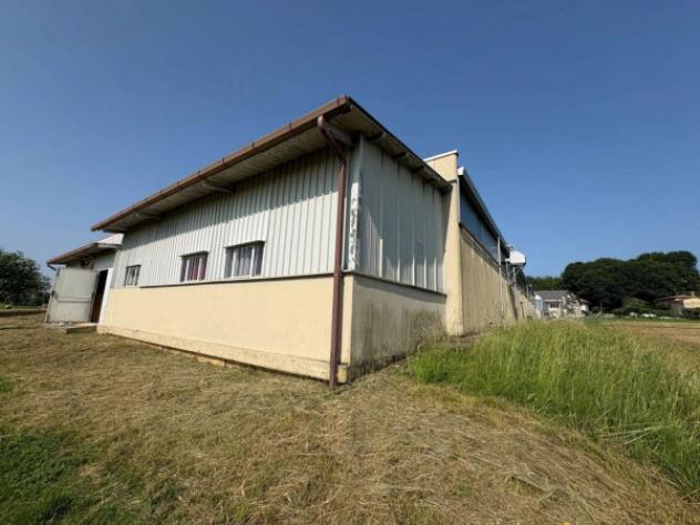 Immobile in asta di 2435 m² in vendita a Cassacco - Foto 5