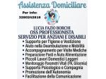 Oss professionista