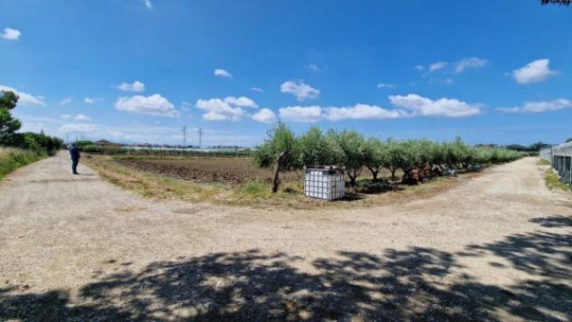 Immobile in asta di 32500 m² in vendita a Eboli - Foto 2