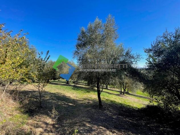 Casale in pietra da ristrutturare alle porte di Siena - Foto 3