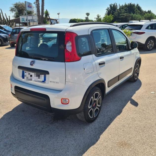 FIAT Panda 1.0 FireFly S&S Hybrid City Life rif. 24040314 - Foto 2