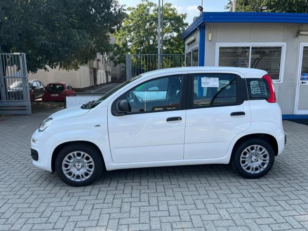 FIAT Panda Panda 1.0 firefly hybrid s&s Icon - Foto 5