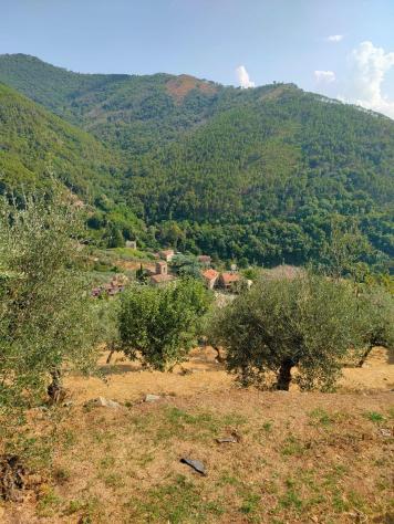 Casale in vendita a Castelmaggiore - Calci 160 mq Rif: 1281754 - Foto 3