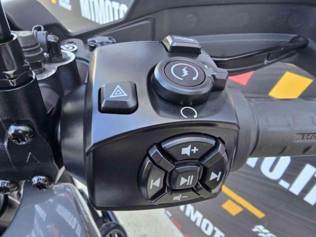 HARLEY-DAVIDSON Pan America 1250 Special Video 360 rif. 24079229 - Foto 10