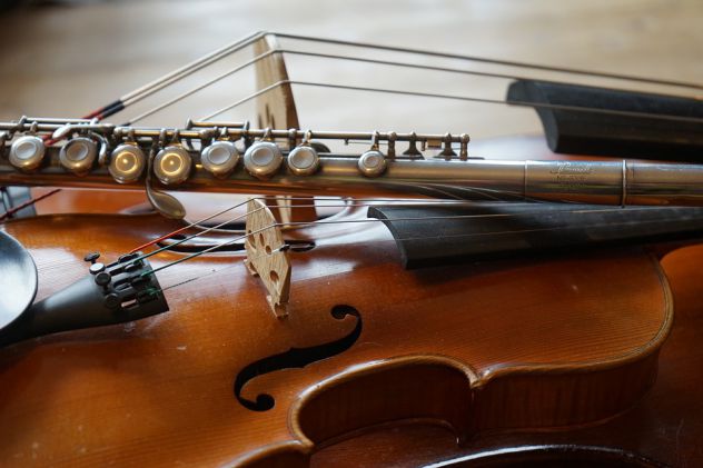 Violinista per serenate, eventi, matrimoni, dichiarazioni a Busto Arsizio