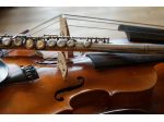 Violinista per serenate, eventi, matrimoni, dichiarazioni a Busto Arsizio