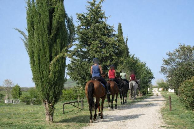 Casa di campagna in Degli Olmi - Foto 14