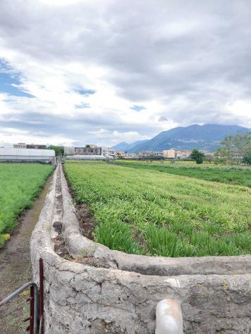 Agricolo in Traversa Schito - Foto 2