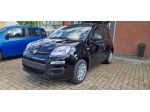 Fiat Panda 1.0 FireFly S&S Hybrid Icon
