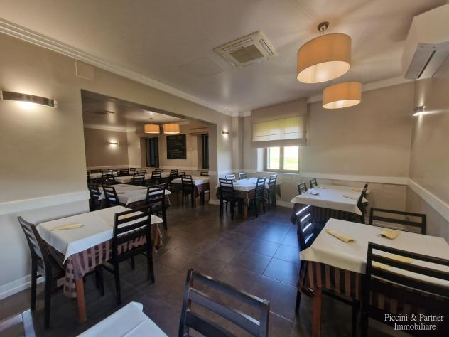 Ristorante Pizzeria in vendita a Perugia - Foto 16