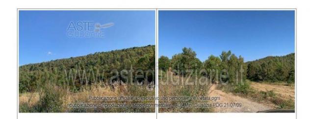 IMMOBILI-ALTRA CATEGORIA-Via Lamarmora, Loc. Mussa de Mei - Fraz.Bacu Abis - Foto 5
