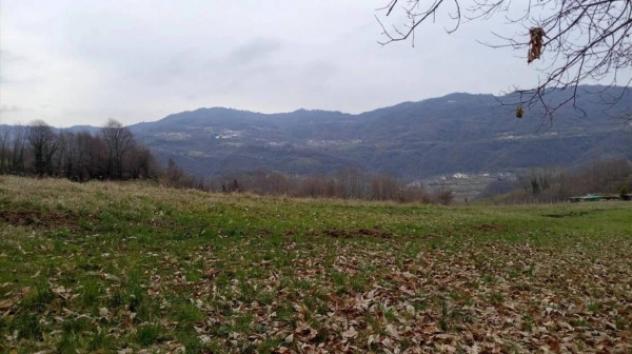 Immobile in asta di 22859 m² in vendita a Chiampo - Foto 2