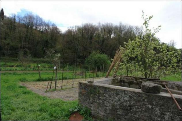 Seminativo in vendita a Fosdinovo - Foto 6