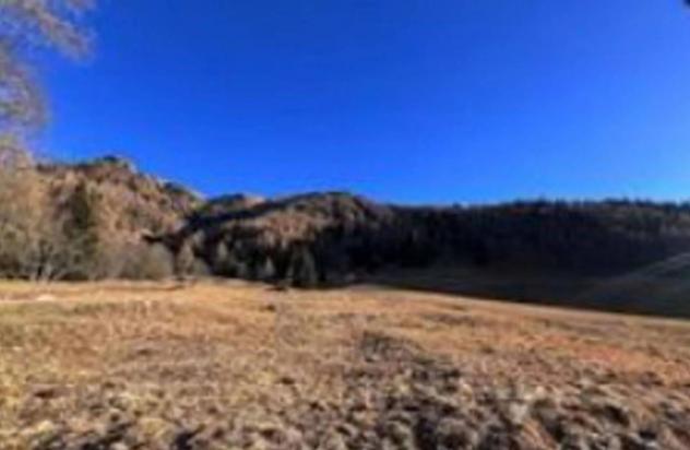 Immobile in asta di 17391 m² in vendita a Scurelle - Foto 3