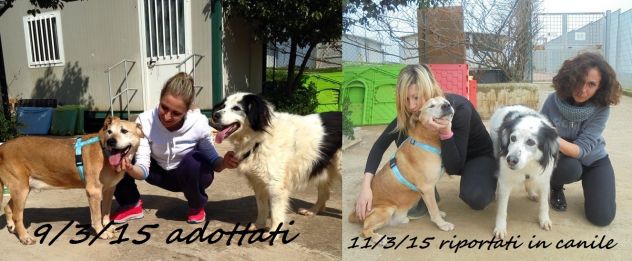 IGOR E ZEUS, adozione del cuore - Foto 2