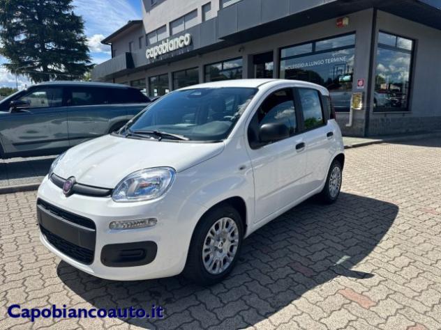 FIAT Panda 1.0 FireFly S&S Hybrid POP KM0 PROMO rif. 23776922