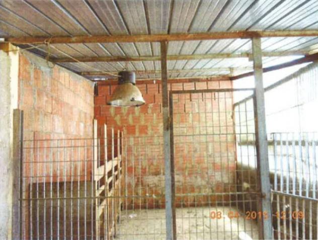 Immobile in asta di 303 m² in vendita a Pietraperzia - Foto 20