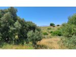 Vigneto in vendita a Settimo San Pietro