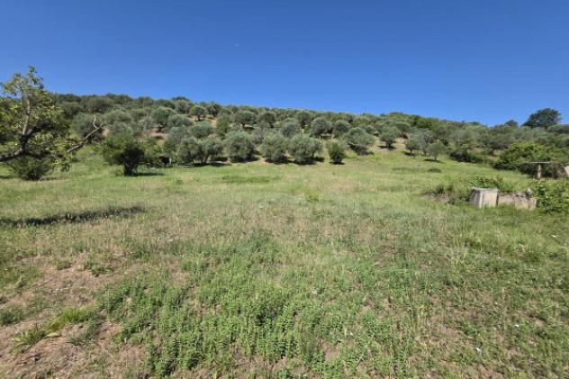 Terreno di 12000 m² in vendita a Guidonia Montecelio - Foto 8