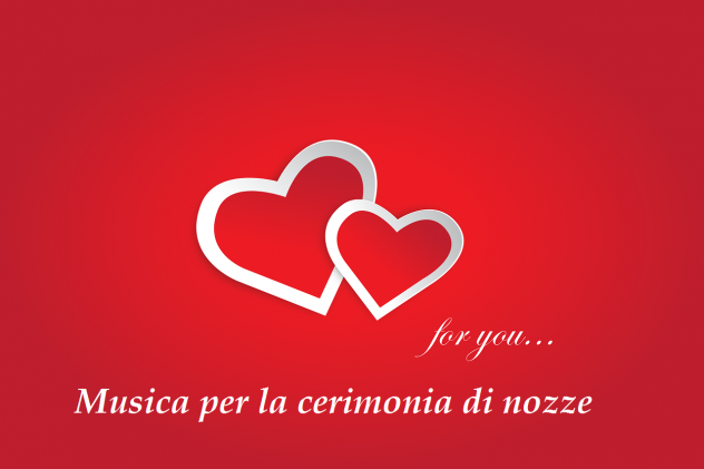 Violinista Varese