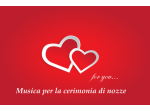 Violinista Varese