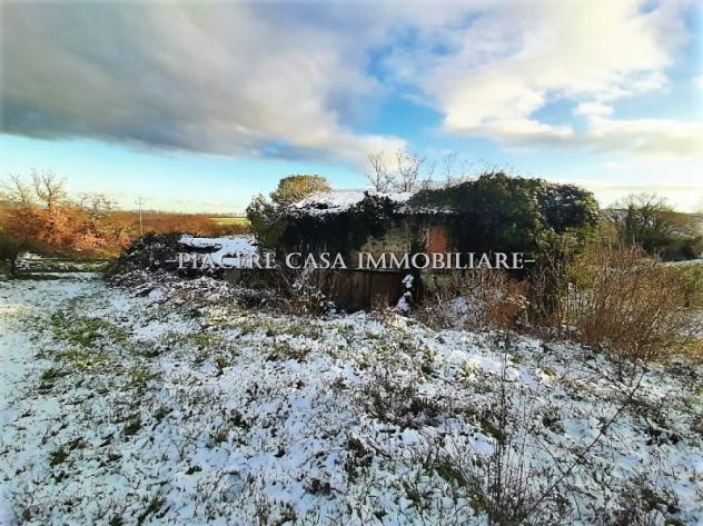 Casale da ristrutturare con 2 ha di uliveto in vendita nel circondario di Orvieto - Foto 5