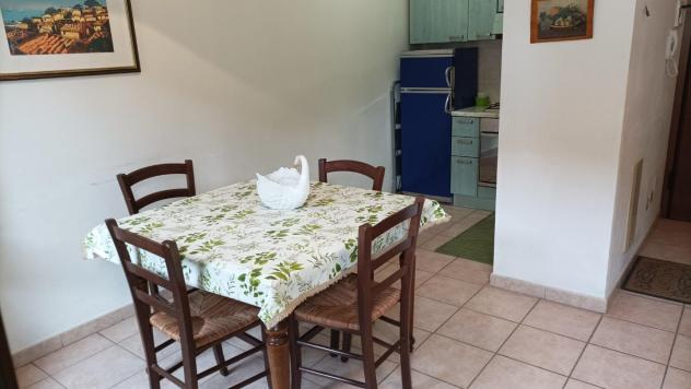 Appartamento in affitto a Caletta - Rosignano Marittimo 40 mq Rif: 1402957 - Foto 8