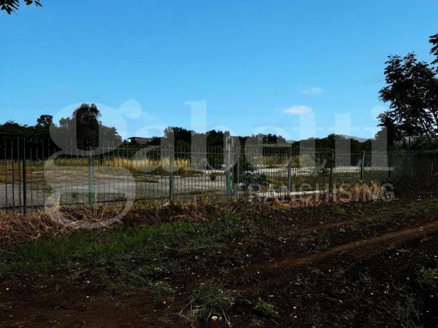Terreno Residenziale - Pastorano . Rif.: Cod. rif 3318412VRG - Foto 6