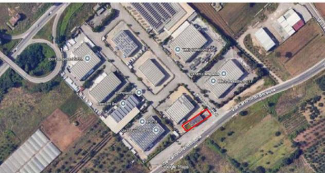 Immobile in asta di 435 m² in vendita a Fauglia - Foto 4