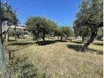 Terreno edificabile in Vendita in zona INCORONATA con giardino