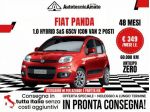 FIAT Panda 1.0 S&S Hybrid Icon Van 2 posti rif. 23295137