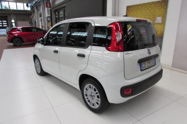 FIAT Panda 1.0 FireFly 70cv S&S Hybrid Easy rif. 23795594 - Foto 3