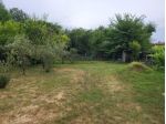 Terreno edif. residenziale in vendita a Altopascio 2100 mq  Rif: 1057128