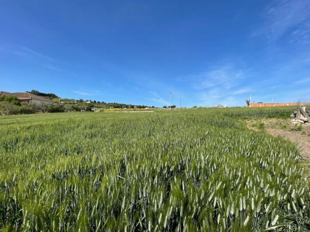 TERRENO IN CONTRADA CALICI CANICATTI - Foto 5