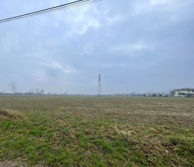 Terreno agricolo - Foto 4