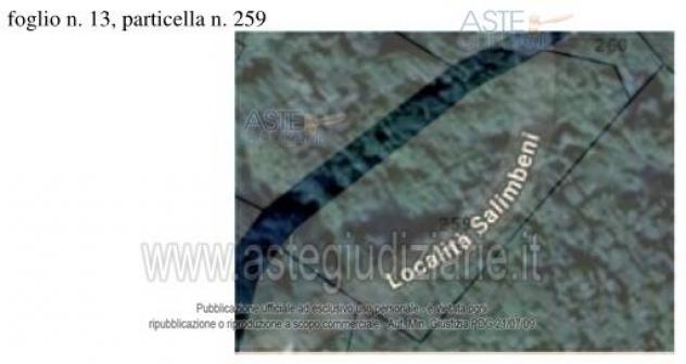 IMMOBILI-ALTRA CATEGORIA-Località Ca' Zemprino e località Case Gasperoni - Foto 4