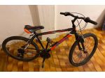 Vendesi biciclette Mountain Bike in buono stato, utilizzate poco e sempre tenute