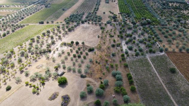 Terreno Agricolo - Noto . Rif.: Cod. rif 3321426VRG - Foto 7
