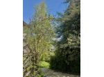 Rustico / Casale di 214 m² con 3 locali in vendita a Pertica Alta